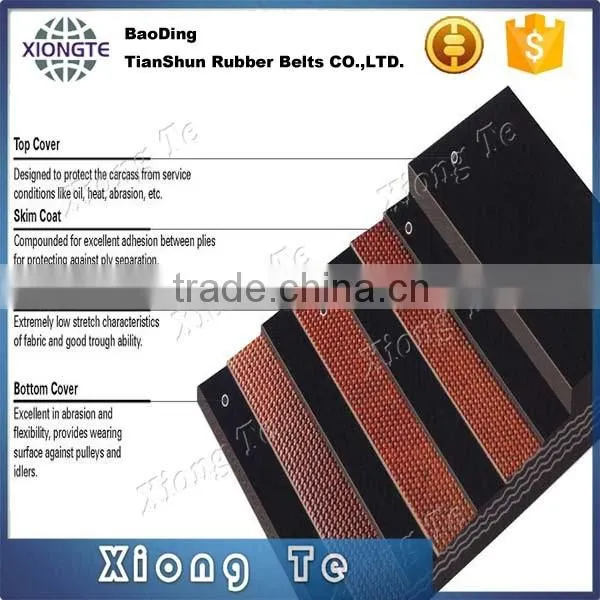 Polyester Conveyor Belt photo-4