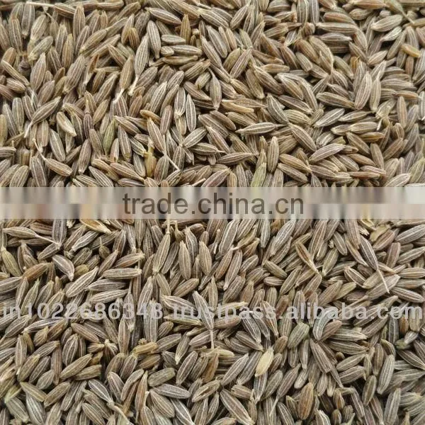 Cumin Seeds