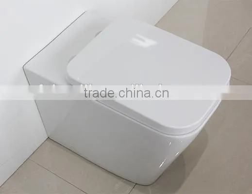 Watermark Australian Bathroom Ceramic Floor Toilet Bowl With Concealed Cistern 2051B photo-4