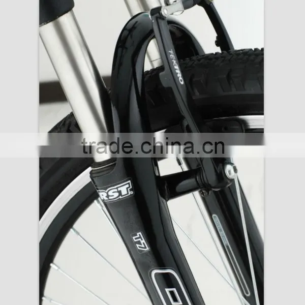 Mars TDE16Z Electric Bicycle MTB Electric Moto Bike photo-6