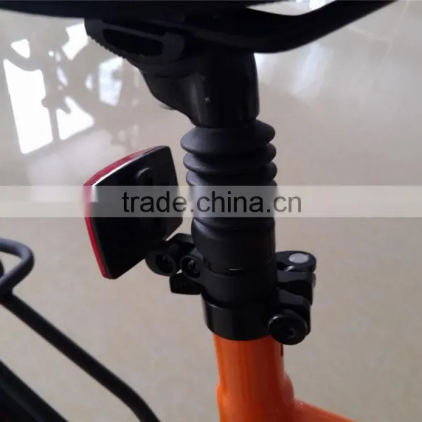 Flyer,New Model 250w Motor Electric Bike,36 Volt Lithium Ion Battery for City photo-2