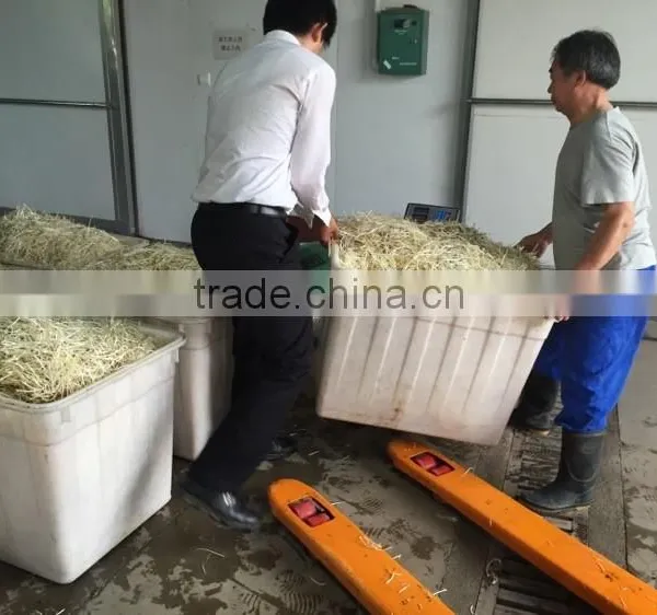Automatic Bean Sprouting Machine photo-4