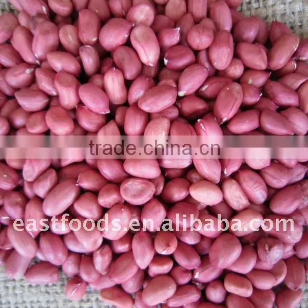 2014 Crop Shandong Peanut photo-3