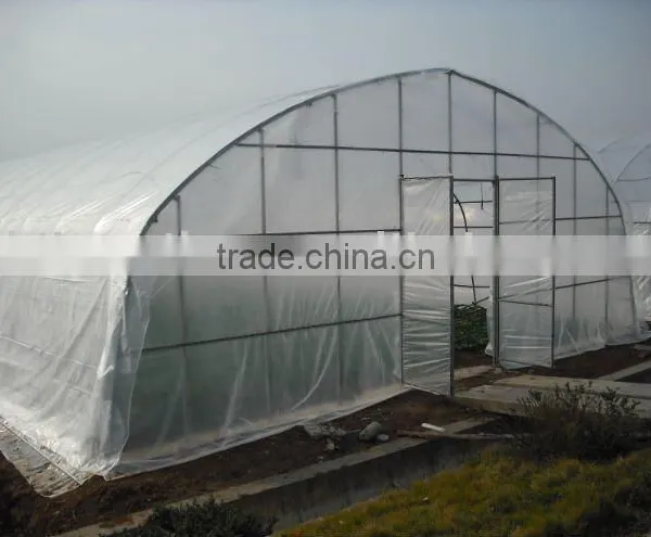 Economical Tunnel Greenhouse
