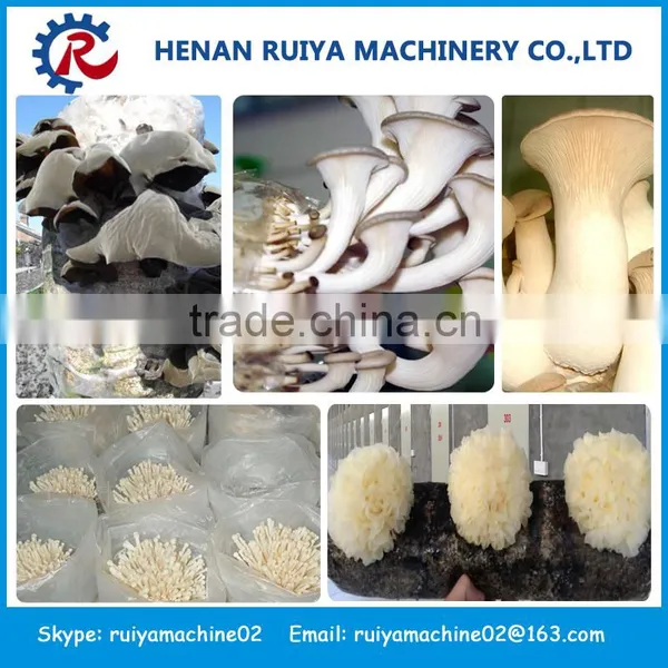Best Seller Mushroom Machine | Mushroom Bigging Machine photo-2