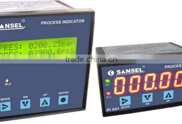 Process Indicator