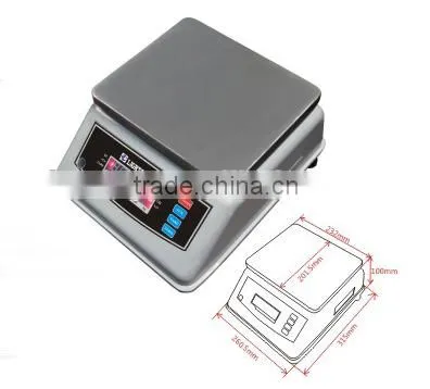 Factory Direct Waterproof Body Weighing Scale (model FS) photo-2