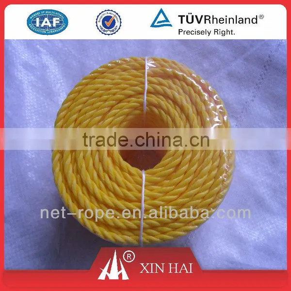 Hot Sale Colorful PE Twine for Packing