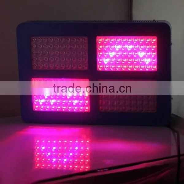 Full Spectrum Led Grow Lights 600watt Led for Growing Plants photo-5