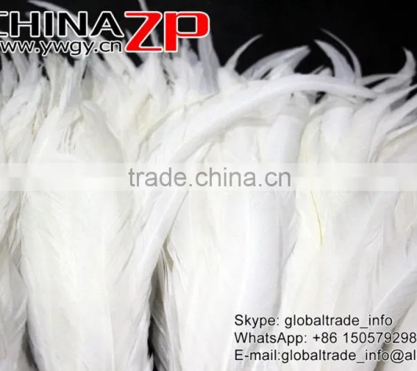 Top Supplier ZPDECOR Bulk Sale 35-40cm Length Natural Bleached White Fully Dyed Rooster Chicken Feathers photo-6
