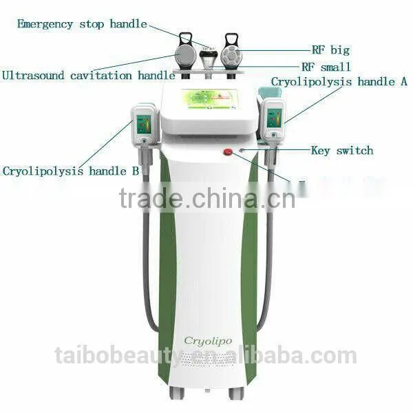 Cryotherapy Cryo Cool Tech Fat Freezing Body Sculpting Cryolipolisis 2016 Slimming Machines photo-5