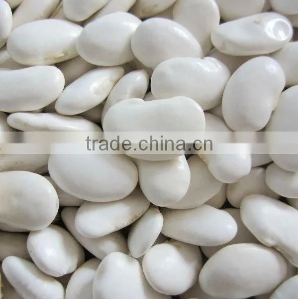 Big Size White Beans White Haricot Beans photo-2