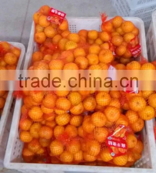 Chinese Fresh Mandarin Orange photo-3