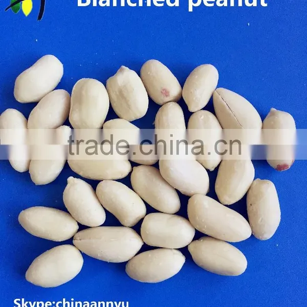 2015 New Crop Blanched Peanut Kernels From Shandong Peanuts Plant photo-2