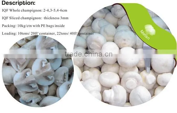 Frozen Delicate Champignon Mushroom/white Button Mushroom photo-4