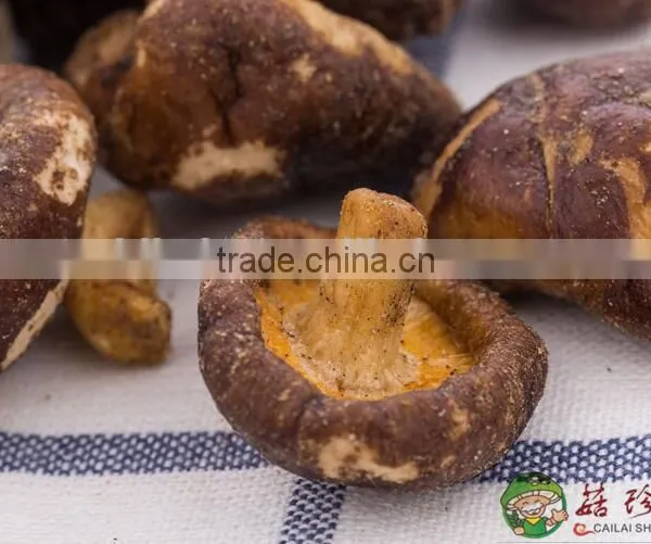 Tasty Crisp Low Temperature Fried Oyster Shiitake Mushroom Snacks photo-2