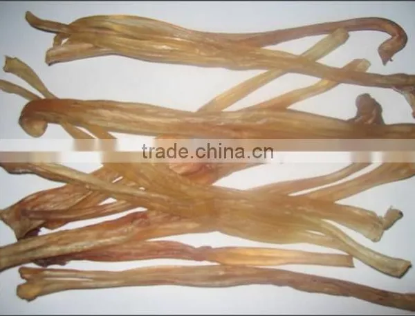 Cattle Tendon
