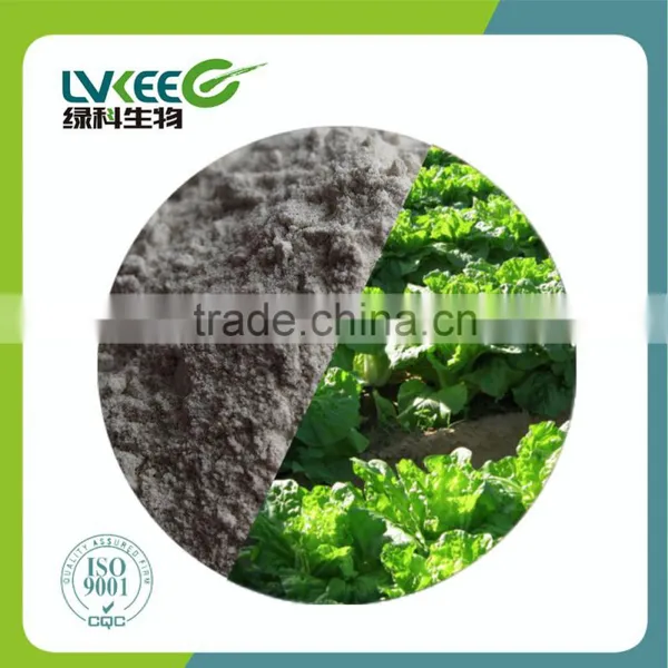 Bio Fertilizer Bacillus Mucilaginosus for Plant Growth Regulator photo-6