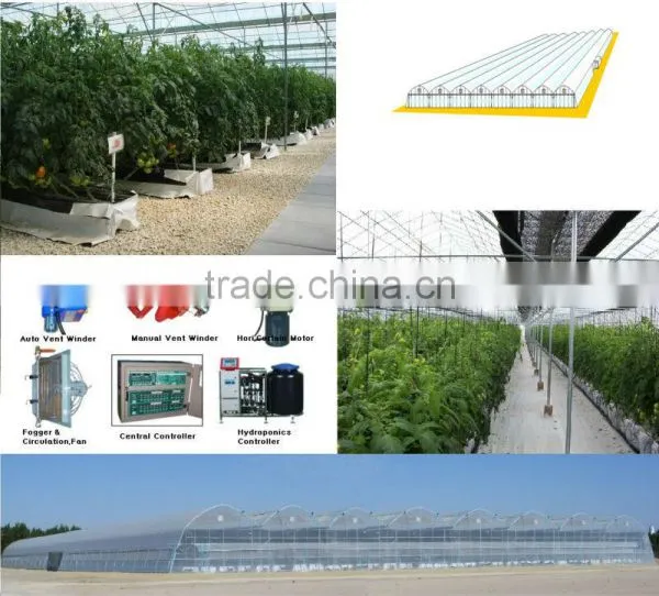 Nursery, Hydroponics, NFT, Hydroponic Fodder and Aeroponics for Greenhouse Production photo-2