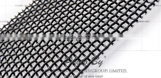 Black Security Fly Screens for Windows photo-6
