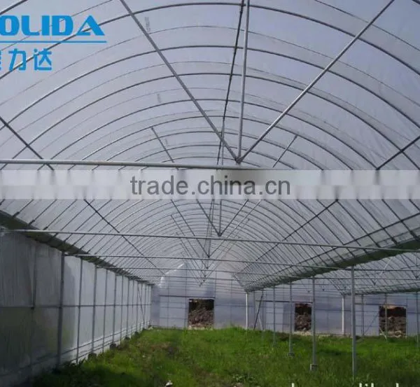 8m/9m/10m Single Span Tunnel Greenhouse For Sale photo-3