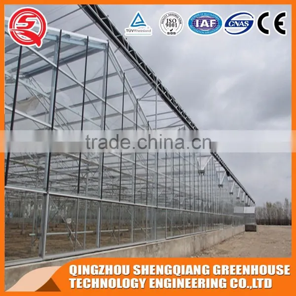 China Commercial Multi-span Glass Greenhouse Hydroponic Systems photo-3