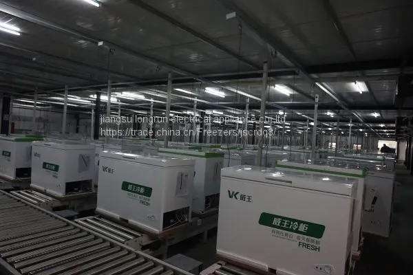 100L Commercial Freezer