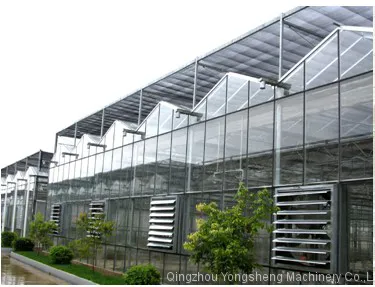 Greenhouse Wall Mounted Exhaust Fan