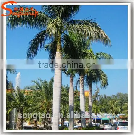 Led Palm Tree Light Led Outdoor Solar Tree Lights Coconut Palm Tree photo-2