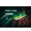 Frog C
