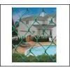 Supply PVC Coated Chain Link Fence