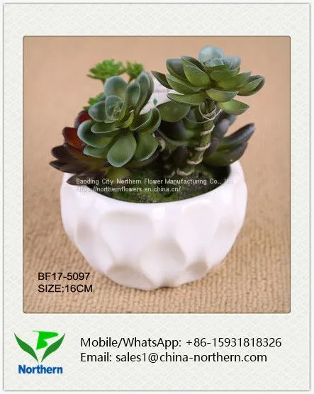 Home Garden Decoration Artificial Succulent