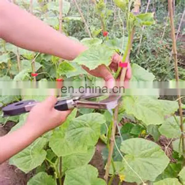 Reliable Small Kiwi Tapetool With Factory Price photo-2