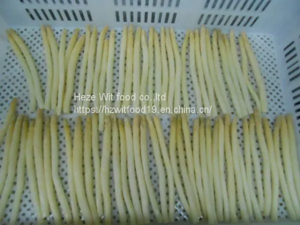 IQF White Asparagus Spears L Grade Washing ,peeled ,blanching photo-2