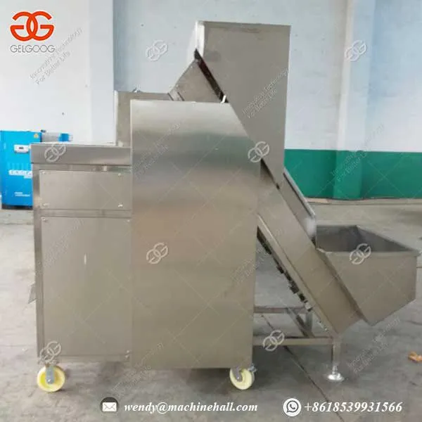 High Capacity Fruit & Vegetable Processing Machines Fruit Processing Machine