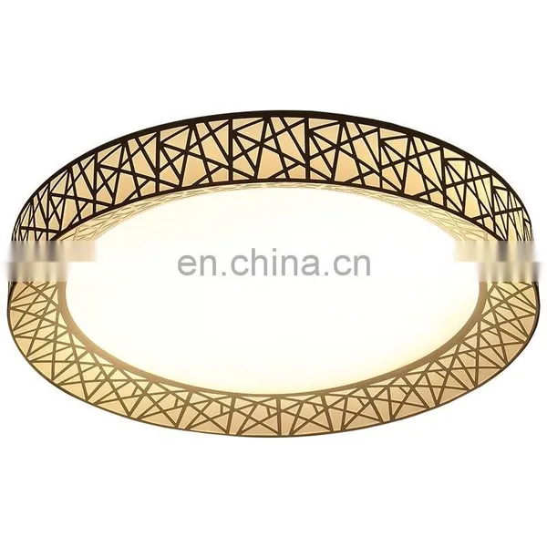 Modern LED Dimmable Ceiling Lighting Nest Dia45-80cm Kitchen Living Room Bed Room Ceiling Lighting Iron Ceiling Lamp photo-2