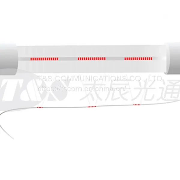 FIBER OPTIC SENSING photo-2