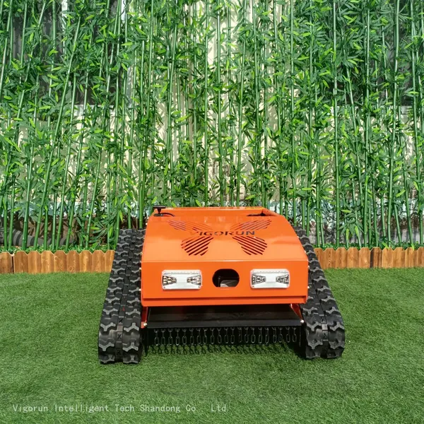 Remote Control Brush Mower, China Radio Controlled Mower Price, rc Lawn Mower for Sale photo-2