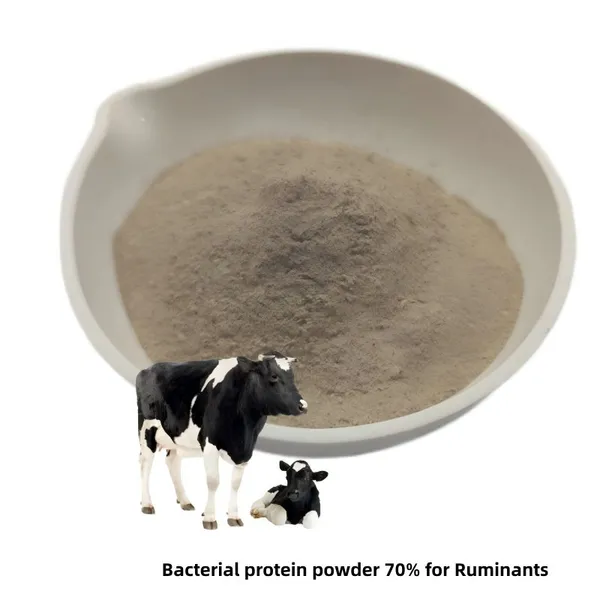 Premium Magnesium Protein Amino Acid Chelated Magnesium Feed Additive for Livestock and Poultry photo-3