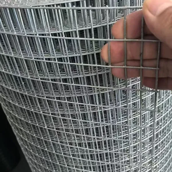 Hot Dipped Galvanized Welded Wire Mesh Rolls for Construction and Fencing photo-2
