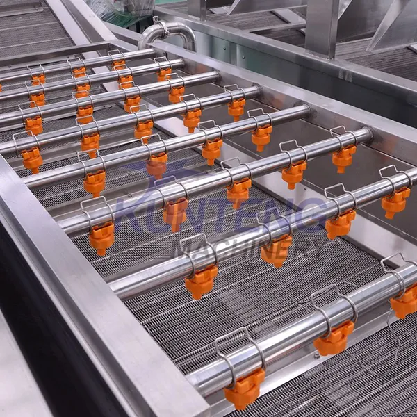 Automatic Melon Raisins Potatoes Bitter Leaf Vegetable Squash Peanut Washing Drying Machine Fruit Vegetable Cleaning Machine EPC photo-5