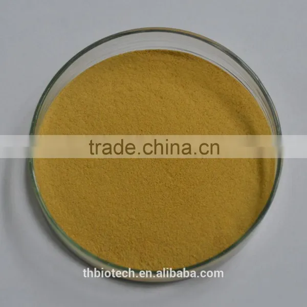 2015 Manufacturer Pure Natural High Qulity Suma Extract, Pfaffia Paniculata Extract, Brazilian Ginseng Extract photo-2