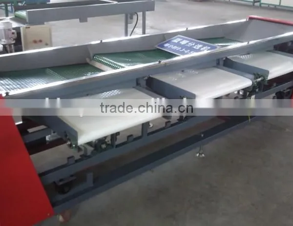 Blueberry Sorting Machine photo-2