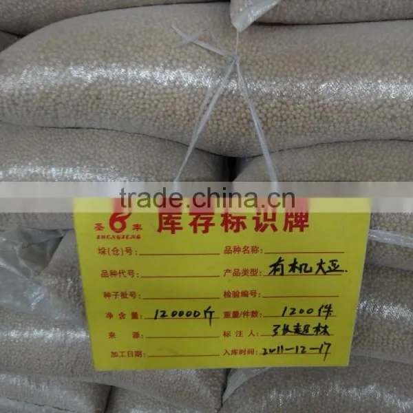 Soybean photo-3