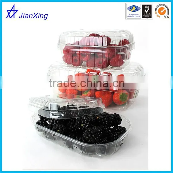New Plastic Disposable Fruit Salad Container photo-3