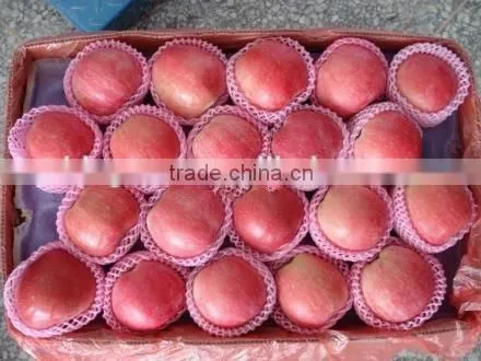 Chinese Fresh Sweet Red Star Apple With Good Quality photo-3