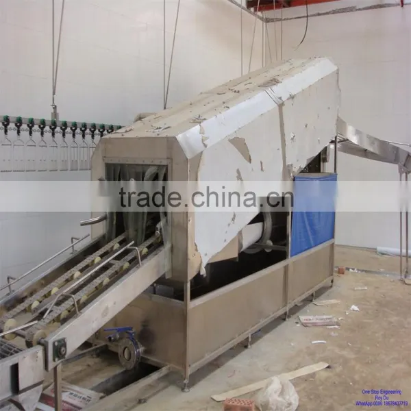 Poultry Slaughter Machine and Equipment photo-2