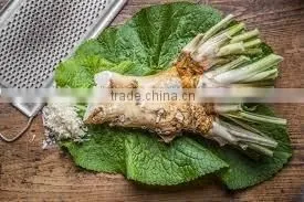 Wasabi Powder High Quality photo-6