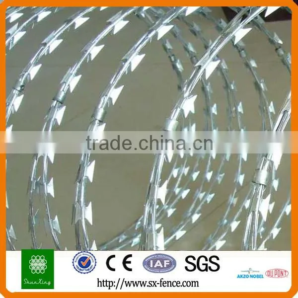200g/m2 Hot Dipped Galvanized Concertina Razor Barbed Wire photo-2