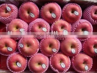 Fresh Apple